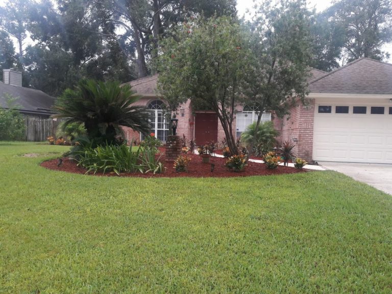 Lawn Care My Jacksonville Landscaper