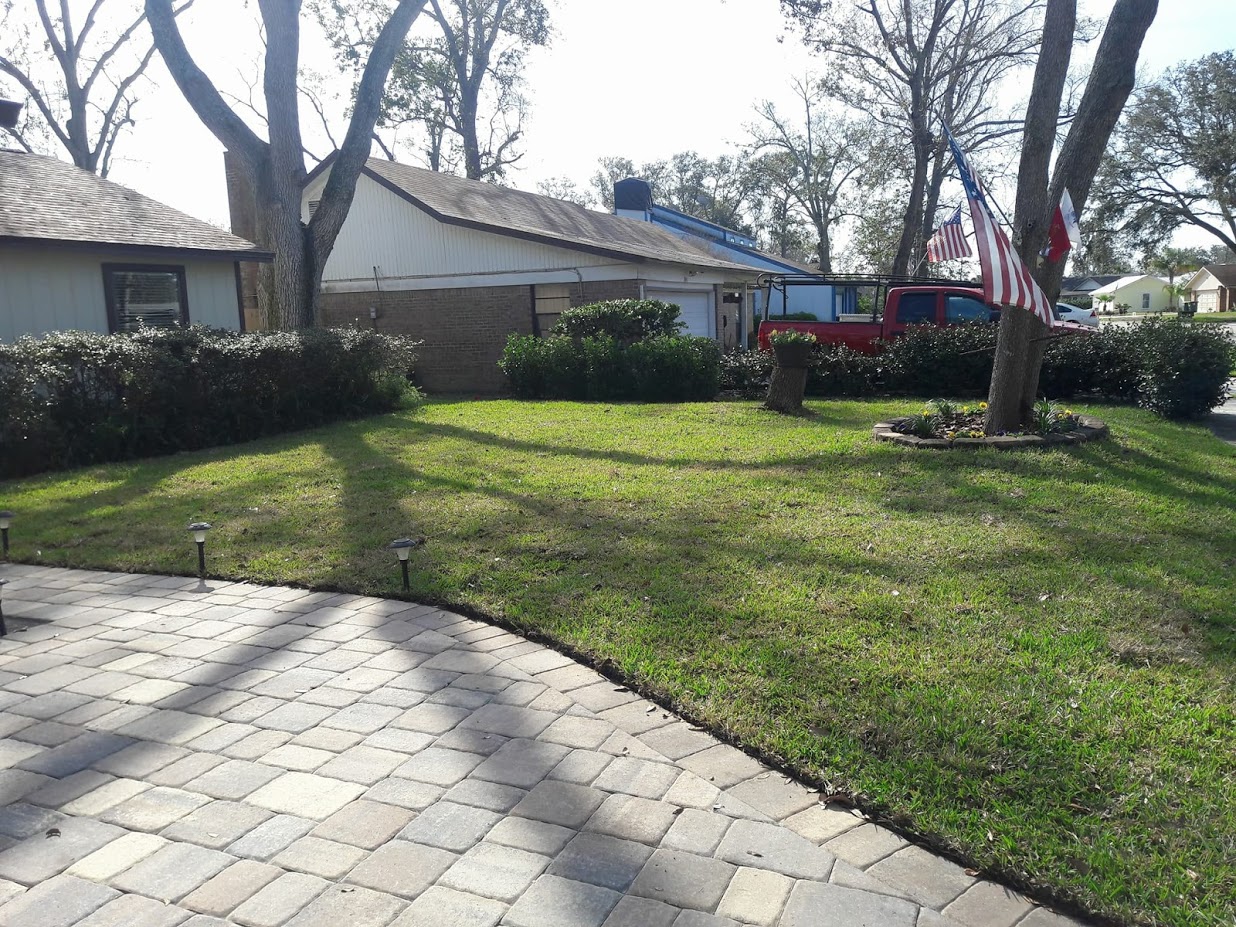  My Jacksonville Landscaper