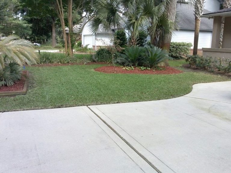 Lawn Care My Jacksonville Landscaper